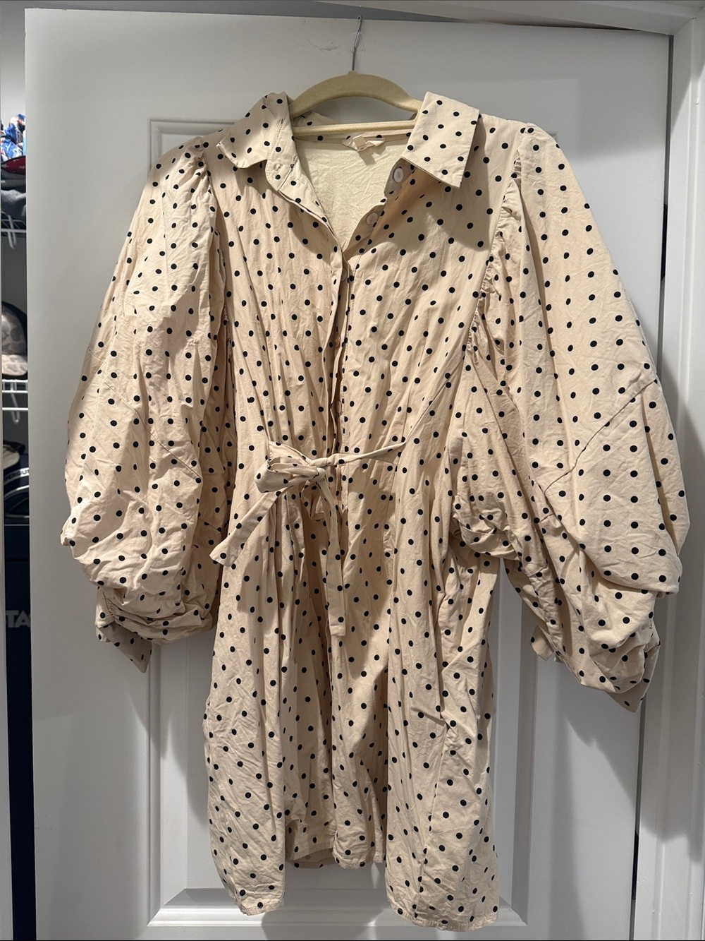 Polka Dot Puff Sleeve Tie-Waist Dress - Beige/Black